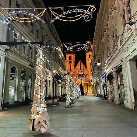 Golden Soul With Garage Parking Sarajevo